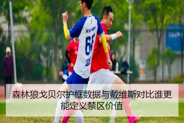 森林狼戈贝尔护框数据与戴维斯对比谁更能定义禁区价值