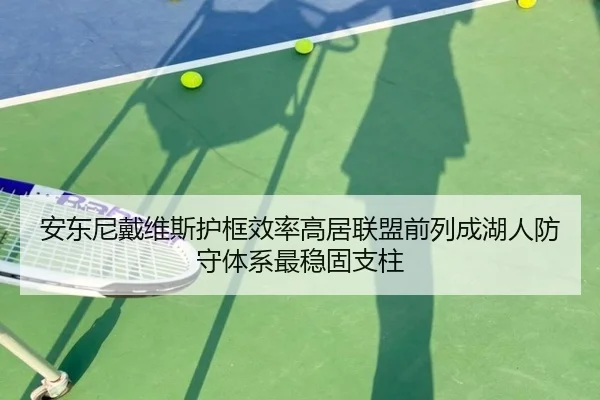 安东尼戴维斯护框效率高居联盟前列成湖人防守体系最稳固支柱