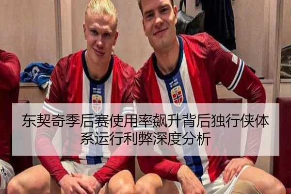 东契奇季后赛使用率飙升背后独行侠体系运行利弊深度分析