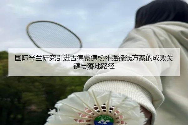 国际米兰研究引进古德蒙德松补强锋线方案的成败关键与落地路径